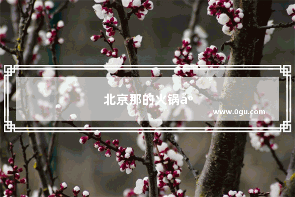 北京那的火锅店最好吃
