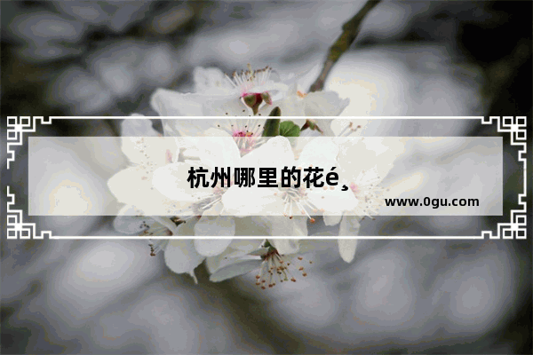 杭州哪里的花鸟市场最大