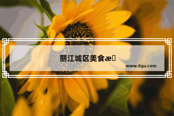 丽江城区美食推荐店有哪些品牌的店