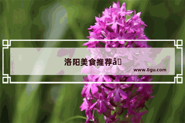 洛阳美食推荐地点有哪些好吃的店铺