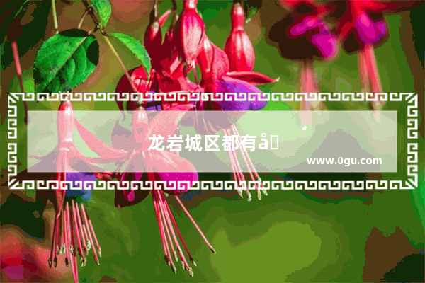 龙岩城区都有哪些比较有年份的老桥