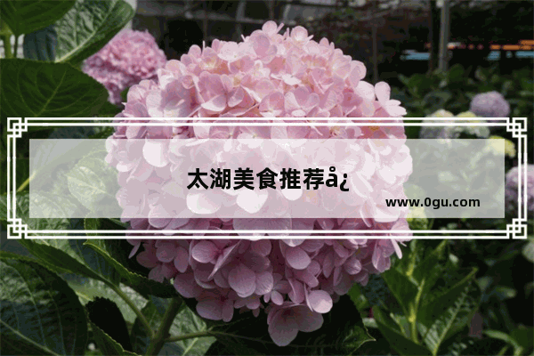 太湖美食推荐必吃店有哪些品牌的
