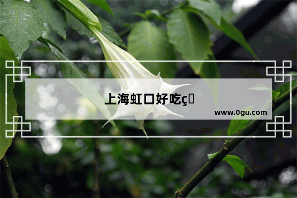 上海虹口好吃的地方