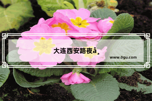 大连西安路夜市美食推荐餐厅有哪些呢