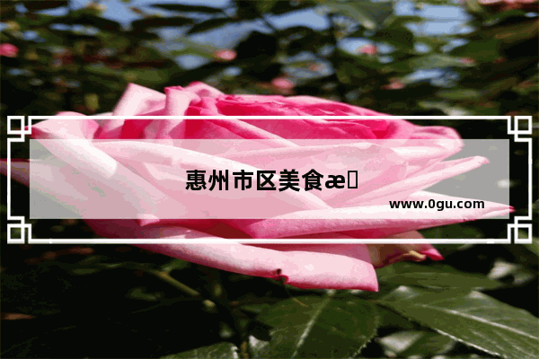 惠州市区美食推荐店在哪里开的呢