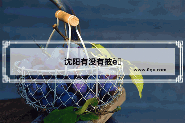 沈阳有没有披萨培训