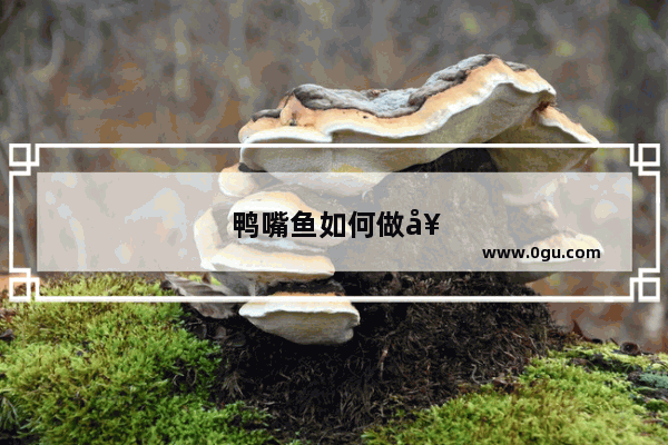 鸭嘴鱼如何做好吃鸭嘴鱼的做法步骤