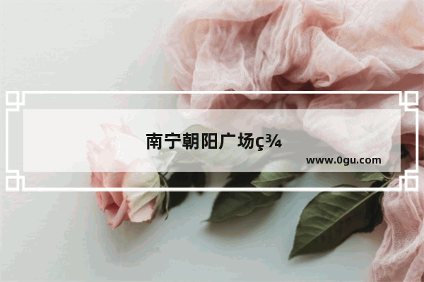南宁朝阳广场美食推荐哪家好吃的餐厅