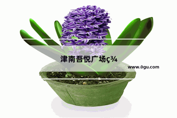 津南吾悦广场美食推荐店