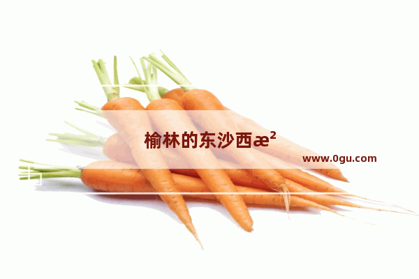 榆林的东沙西沙是什么意思