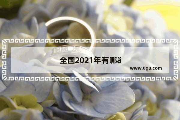 全国2021年有哪些地方行政区划调整
