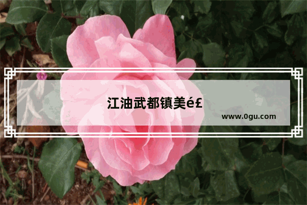 江油武都镇美食推荐店铺有哪些地方呢