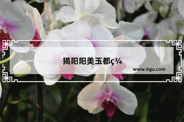 揭阳阳美玉都美食推荐店在哪里呀多少钱一位
