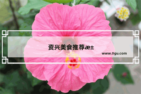 资兴美食推荐江边小吃在哪里买便宜点的