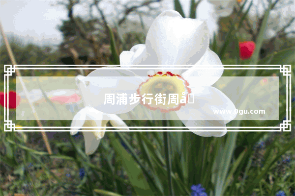 周浦步行街周围有停车地方吗