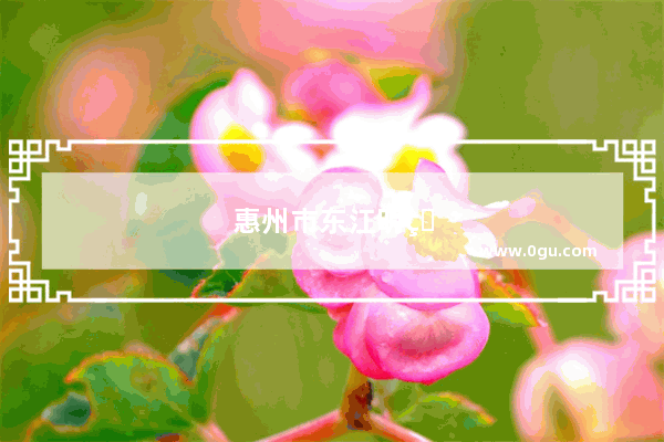 惠州市东江明珠实业有限公司介绍