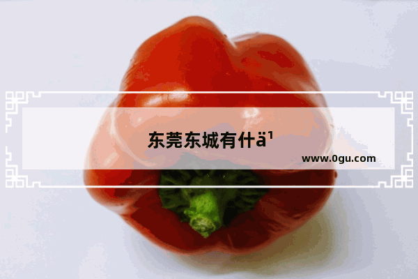 东莞东城有什么好玩的地方