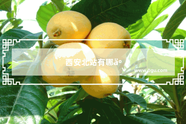 西安北站有哪些公交车