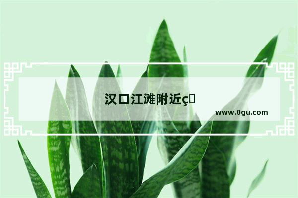 汉口江滩附近的美食推荐店铺地址在哪里啊