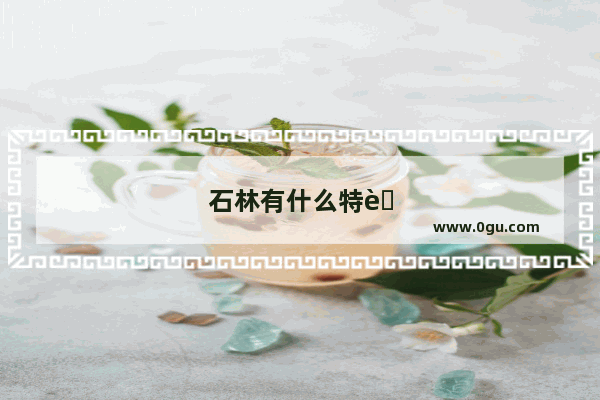 石林有什么特色小吃