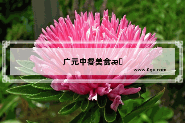 广元中餐美食推荐餐厅有哪些品牌的菜单