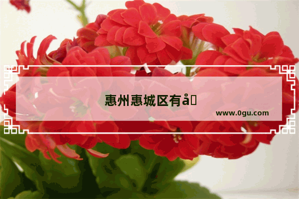 惠州惠城区有哪些好玩好吃的地方