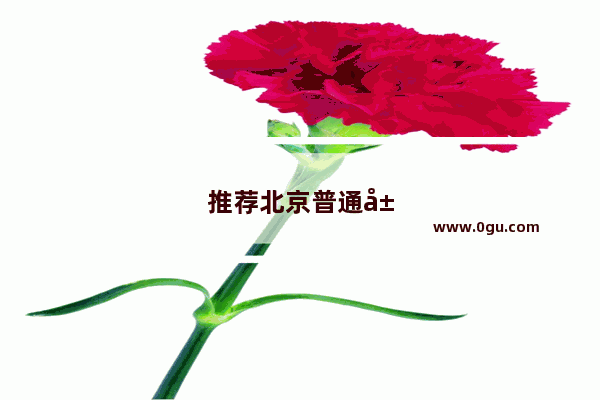 推荐北京普通居民生活的胡同