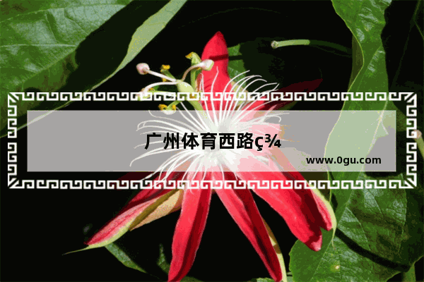 广州体育西路美食推荐店在哪里啊电话
