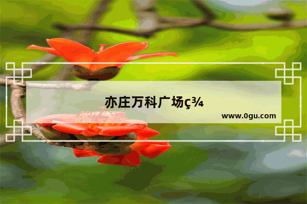 亦庄万科广场美食推荐店铺有哪些品牌的