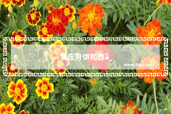 黄庄月饼和西三庄月饼哪个好吃