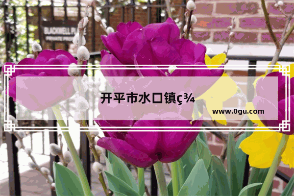 开平市水口镇美食推荐店有哪些呢多少钱一位
