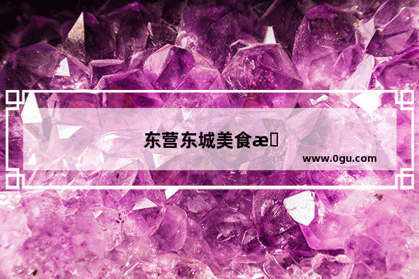 东营东城美食推荐店
