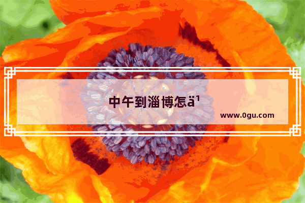 中午到淄博怎么玩