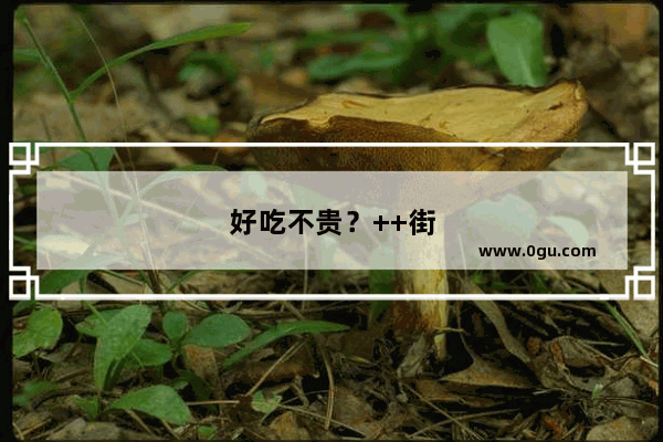 好吃不贵？++街哪家泡馍正宗