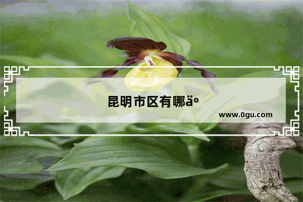 昆明市区有哪些好吃的比较多的夜市值得推荐