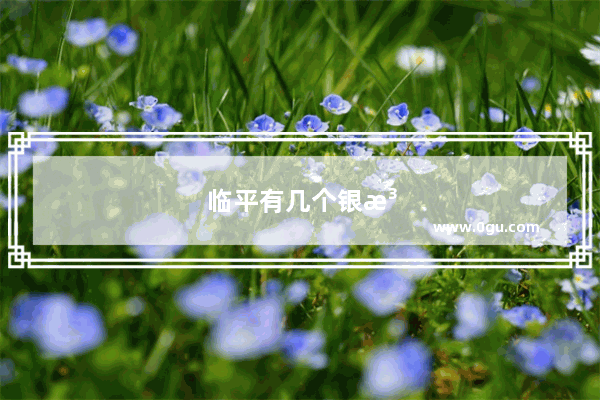 临平有几个银泰城