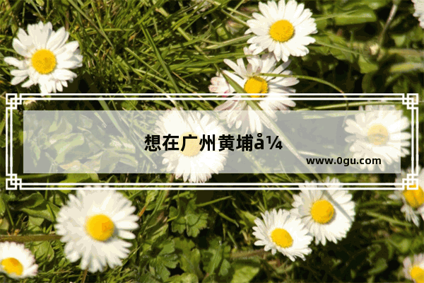想在广州黄埔开店做餐饮 哪里地段比较好
