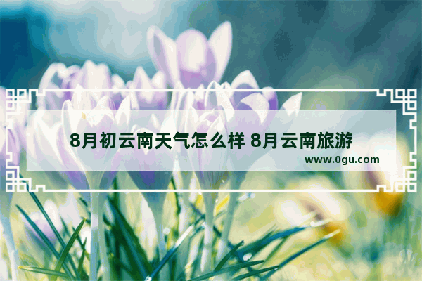 8月初云南天气怎么样 8月云南旅游