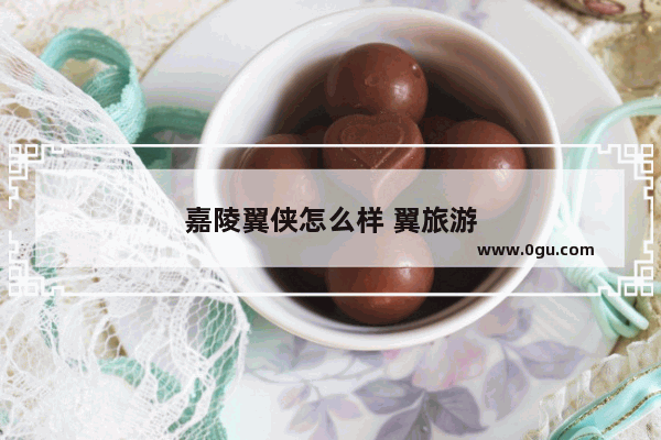 嘉陵翼侠怎么样 翼旅游