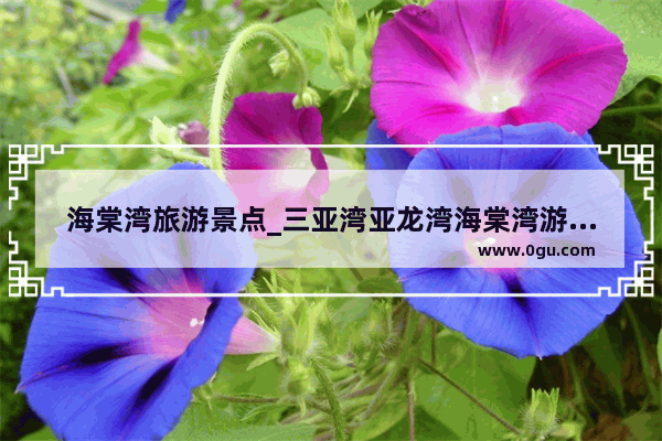 海棠湾旅游景点_三亚湾亚龙湾海棠湾游玩顺序