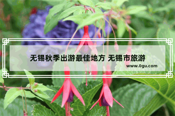 无锡秋季出游最佳地方 无锡市旅游