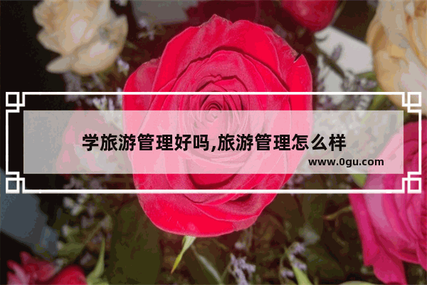 学旅游管理好吗,旅游管理怎么样