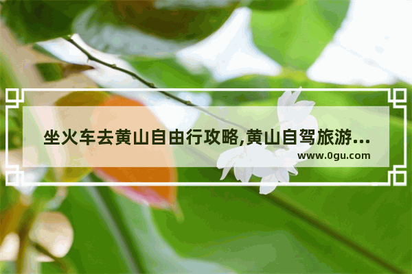 坐火车去黄山自由行攻略,黄山自驾旅游攻略