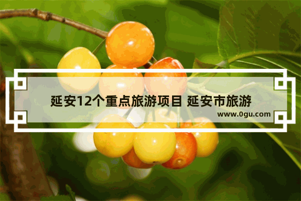 延安12个重点旅游项目 延安市旅游