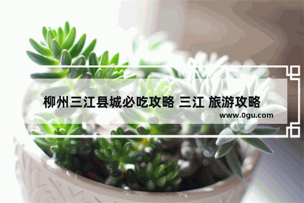 柳州三江县城必吃攻略 三江 旅游攻略