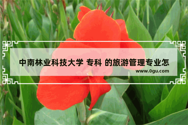 中南林业科技大学 专科 的旅游管理专业怎样啊?校区在那里?宿舍条件好吗,林业旅游