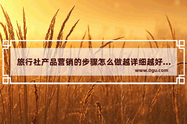 旅行社产品营销的步骤怎么做越详细越好_美团旅行市场策略