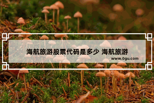 海航旅游股票代码是多少 海航旅游