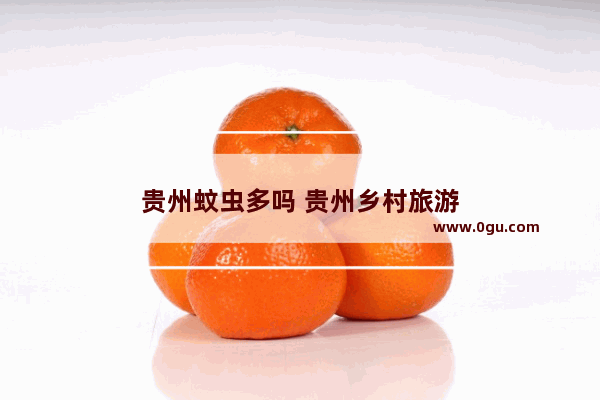 贵州蚊虫多吗 贵州乡村旅游