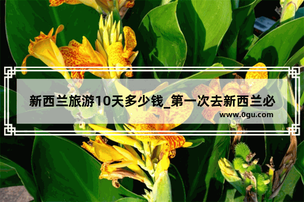 新西兰旅游10天多少钱_第一次去新西兰必备物品清单